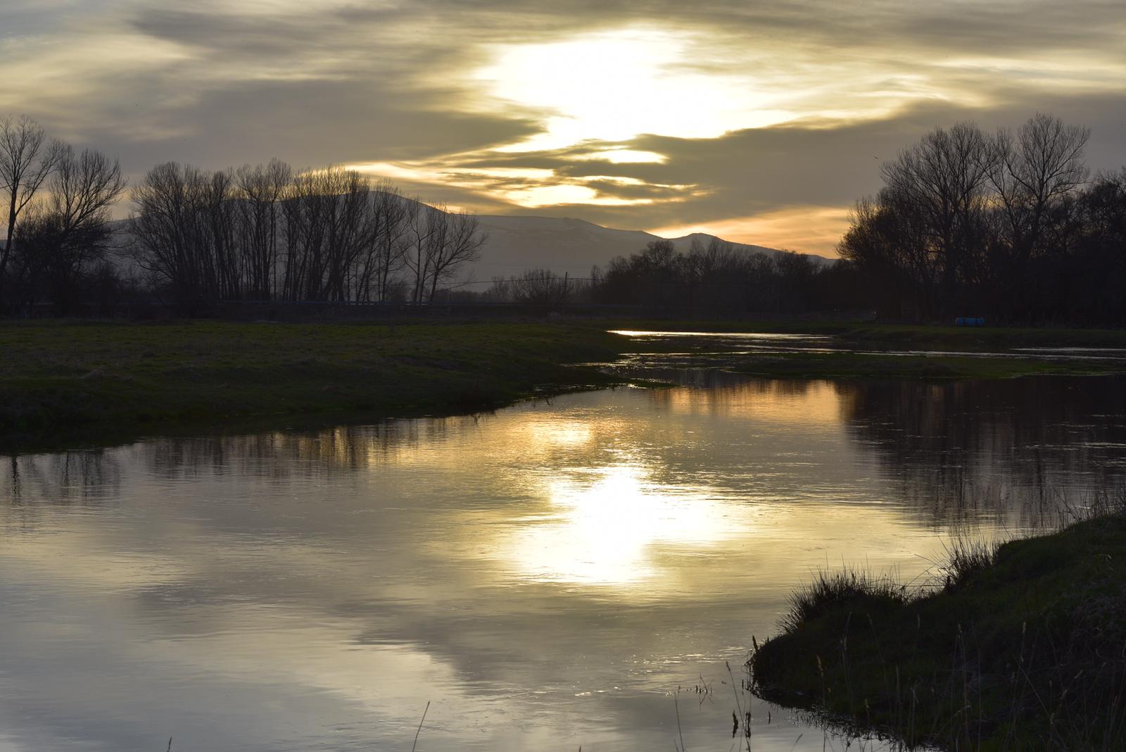 Good quality purchase for the price